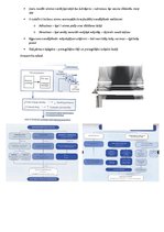 Summaries, Notes 'Cilvēku kustību pamati un motorā kontrole', 12.