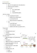 Summaries, Notes 'Cilvēku kustību pamati un motorā kontrole', 15.