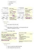 Summaries, Notes 'Cilvēku kustību pamati un motorā kontrole', 16.