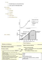 Summaries, Notes 'Cilvēku kustību pamati un motorā kontrole', 17.