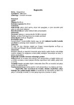 Summaries, Notes 'Koraļļi', 9.