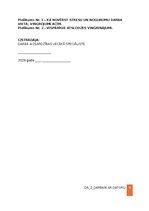 Samples 'Darba aizsardzības instrukcija darbam ar datoru', 8.