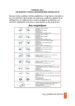 Samples 'Darba aizsardzības instrukcija darbam ar datoru', 9.