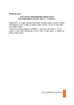 Samples 'Darba aizsardzības instrukcija darbam ar datoru', 10.
