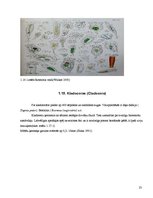 Research Papers 'Sventes un Briģenes ezera zooplanktona vertikālais izvietojums', 21.