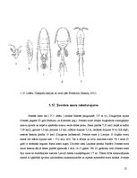 Research Papers 'Sventes un Briģenes ezera zooplanktona vertikālais izvietojums', 23.