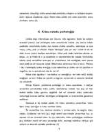 Research Papers 'Rozā krāsa', 6.