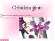 Presentations 'Orhidejas', 3.