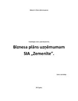 Business Plans 'Biznesa plāns', 1.