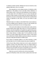 Essays 'Argumentēta eseja par filmu ''Ceplis"', 2.