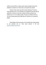 Essays 'Argumentēta eseja par filmu ''Ceplis"', 3.