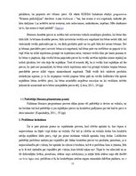 Term Papers 'Produkta „KinderSurprise” pirktspējas palielināšanas iespējas', 13.