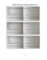 Term Papers 'Produkta „KinderSurprise” pirktspējas palielināšanas iespējas', 53.