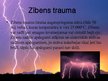 Presentations 'Zibens trauma', 2.