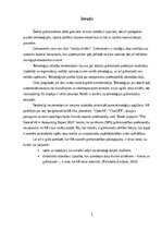 Research Papers 'Digitālā grāmatvedība', 3.