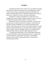 Research Papers 'Digitālā grāmatvedība', 15.