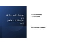 Presentations 'Griba', 6.