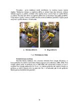 Term Papers 'Kāju muskulatūras ātrspēka attīstīšana ar svarbumbu sporta līdzekļiem', 36.