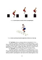 Term Papers 'Kāju muskulatūras ātrspēka attīstīšana ar svarbumbu sporta līdzekļiem', 64.