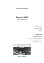 Research Papers 'Bermudu trijstūris', 1.