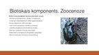 Presentations 'Dabas lieguma "Milzukalns" ekosistēma', 6.