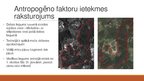 Presentations 'Dabas lieguma "Milzukalns" ekosistēma', 9.