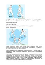 Research Papers 'Karate vēsture', 22.