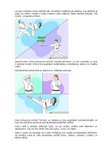 Research Papers 'Karate vēsture', 23.