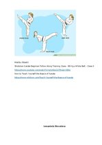 Research Papers 'Karate vēsture', 27.