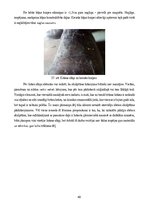 Term Papers 'Sakrālās skulptūras pirmsrestaurācijas izpēte: tēla atribūcija un materiālu izpē', 40.