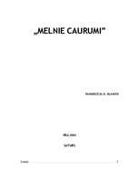 Research Papers 'Melnie caurumi', 1.