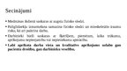 Presentations 'Pacientu vides drošība un ergonomikas pamati māsu praksē', 22.