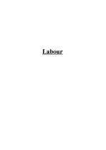 Essays 'Adam Smith and David Ricardo on Division of Labour', 1.