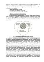 Research Papers 'Korporatīvi sociālā atbildība - tās būtība un ētiskais aspekts', 5.