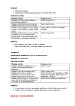 Summaries, Notes 'Ideju portfolio kustību mākslā', 5.