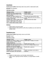 Summaries, Notes 'Ideju portfolio kustību mākslā', 6.