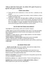 Summaries, Notes 'Čūskas gads 2025', 6.