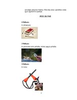 Research Papers 'Uguns iegūšanas veidi lauka apstākļos', 3.