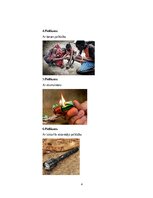 Research Papers 'Uguns iegūšanas veidi lauka apstākļos', 4.