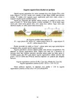 Research Papers 'Meža stādīšanas darbu analīze un ekonomiskais pamatojums', 14.