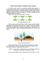 Research Papers 'Meža stādīšanas darbu analīze un ekonomiskais pamatojums', 15.