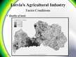 Presentations 'Porter’s Diamond of National Advantage. Latvia’s Agricultural Industry', 6.