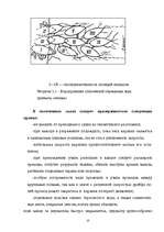 Research Papers 'Плавание и условия проводки судна в ледовой обстановке', 23.