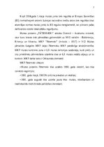 Practice Reports 'Pāternieku muitas kontroles punkts - prakses atskaite', 7.