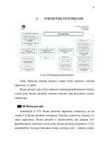 Practice Reports 'Pāternieku muitas kontroles punkts - prakses atskaite', 8.