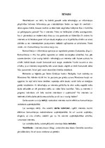 Research Papers 'Internets - instruments efektīvas komunikācijas nodrošināšanai uzņēmējdarbībā', 6.