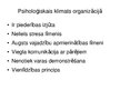 Presentations 'Organizācijas X sociāli psiholoģiskais raksturojums', 8.