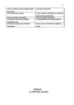 Research Papers 'SIA "ABC" stratēģijas analīze un darbības plānošana', 17.