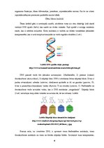 Research Papers 'Proteīnu sintēzes, šūnas funkciju un šūnas vairošanās ģenētiskā kontrole', 4.