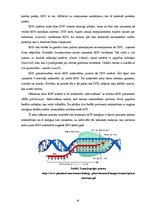 Research Papers 'Proteīnu sintēzes, šūnas funkciju un šūnas vairošanās ģenētiskā kontrole', 6.